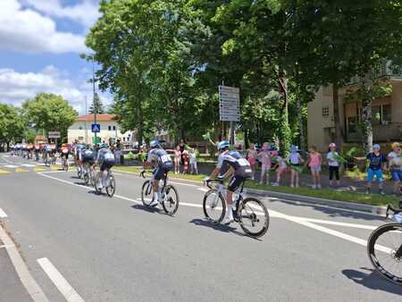 WhatsAppova datoteka Slika, 2025-06-04 ob 14.02.54_4c5af0ce